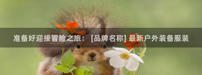b体育官方体育app登录入口手机版