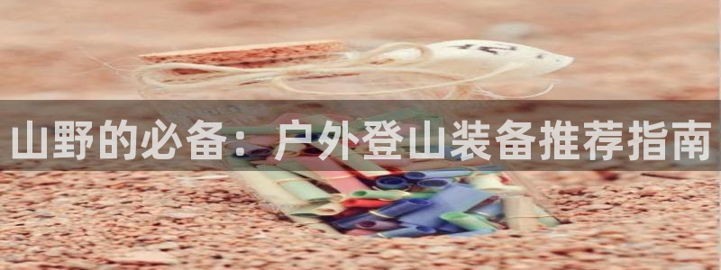 bsports官网登录下载