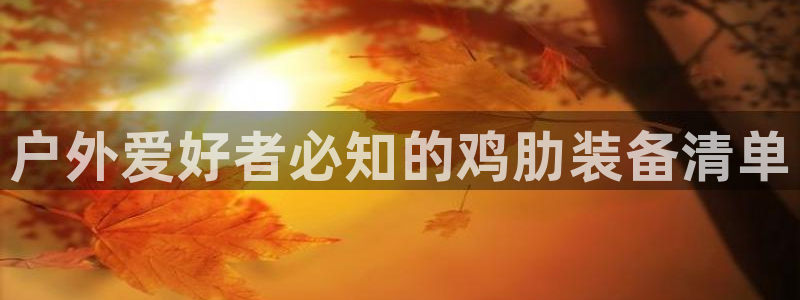 B体育在线登录网页版
