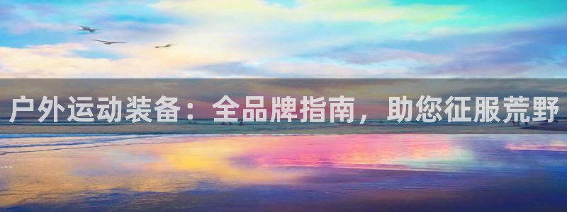 必一体育网页登录版官网