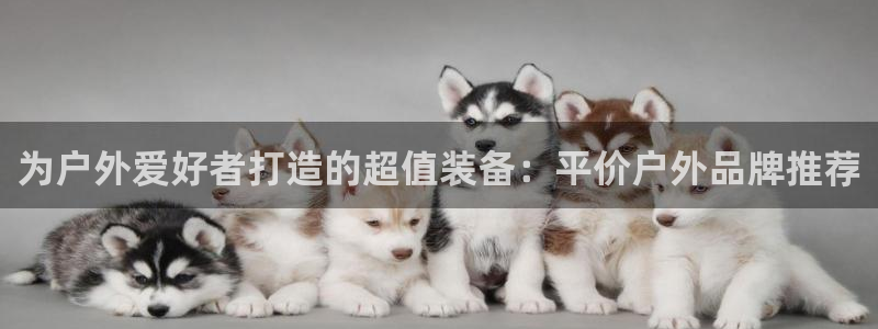 bsports官网必一运动