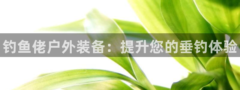 Bsport体育·中国官方网站