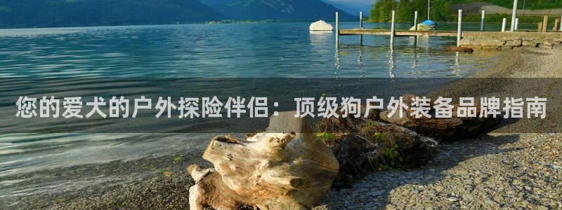 bsport体育app登录入口
