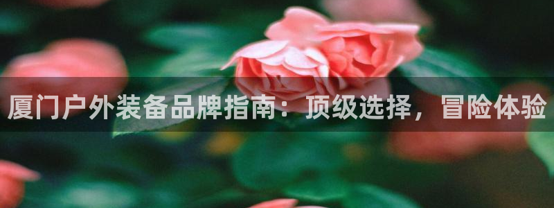 bsports官网登录