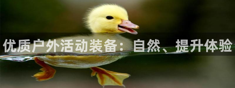 Bsports必一体育下载