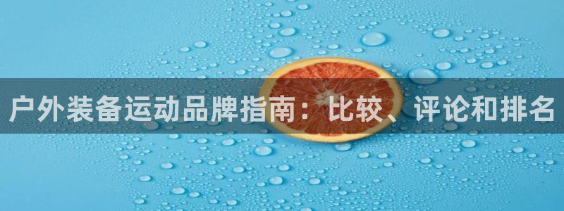 bsport官网入口