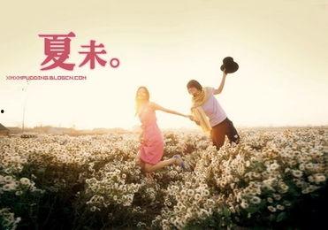 盛夏光年,青春记忆中的阳光与梦想