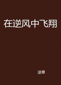 凡人歌之逆风飞翔,凡人歌中的坚韧与梦想